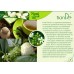 Плодов чай "Noni", 15 бр, 30г Плодов чай "Noni", 15 бр, 30г