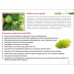 Плодов чай "Noni", 15 бр, 30г Плодов чай "Noni", 15 бр, 30г